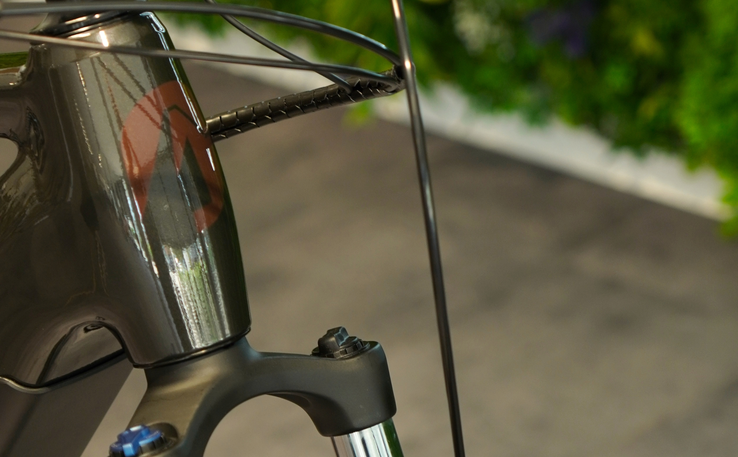 LIQRock E-MTB Bosch Performance Line CX 625Wh LIQRock E-MTB Bosch Performance Line CX 625Wh Diamant Details