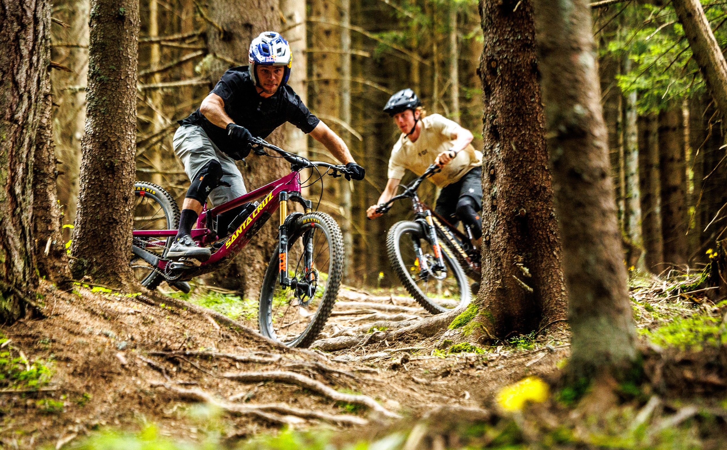 Santa Cruz Bronson 5 R-Kit Carbon C Kalimotxo Santa Cruz Bronson 5 R-Kit Carbon C Kalimotxo Actionshot